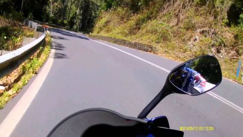 Dorrigo