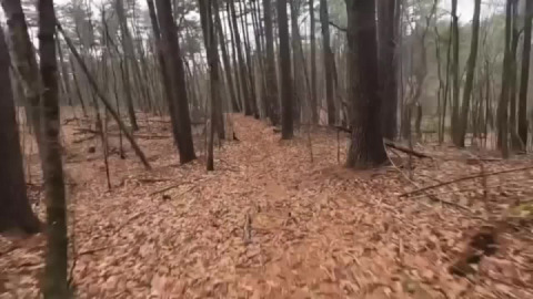 Exploring new-to-me trails