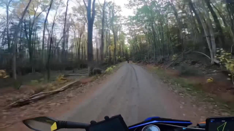 Colorful Connecticut Cruise