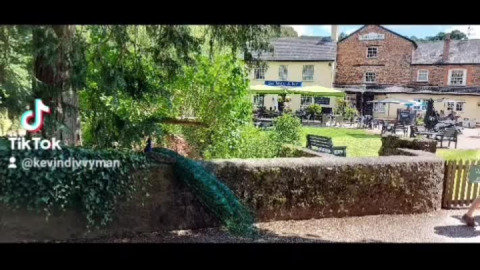 Great 105 mile ride to Bickleigh mill today. Glorious roads and 82mpg! What's not to like!
