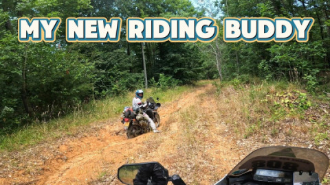 Black Sea twice in 2 days. Bulgaria to Turkey