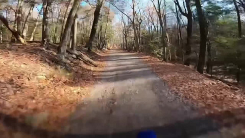 Skopec to Sessions Meadow, etc.,