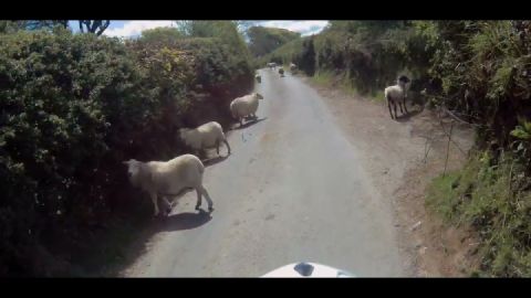You meet the nicest people on Dartmoor ????