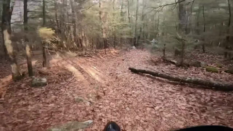 Drop, stop and roll