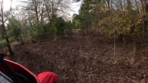 Texas National Forest Woods ride