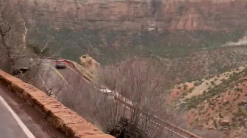 Battled hale, wind, & rain on the bikes in Zion this weekend but totally worth it for the views!
