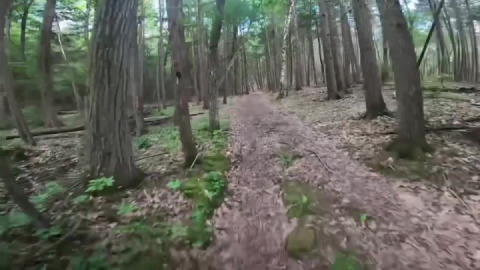 Mystery Mountain hop