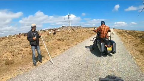 Sever do Vouga - Junqueira - Serra da Freita - Murtosa