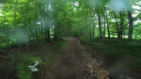 A small part of Lane Road in Barre