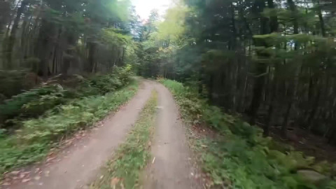 Storming the Castle Brook