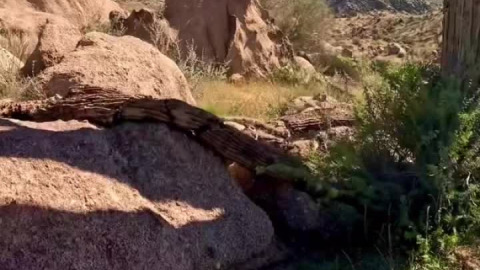 Sometimes exploring new trails is a struggle!