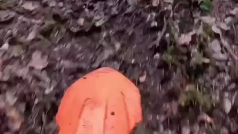 The new ktm upgrade helps the wheels spin