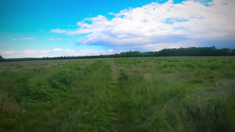 Green grass and high tides